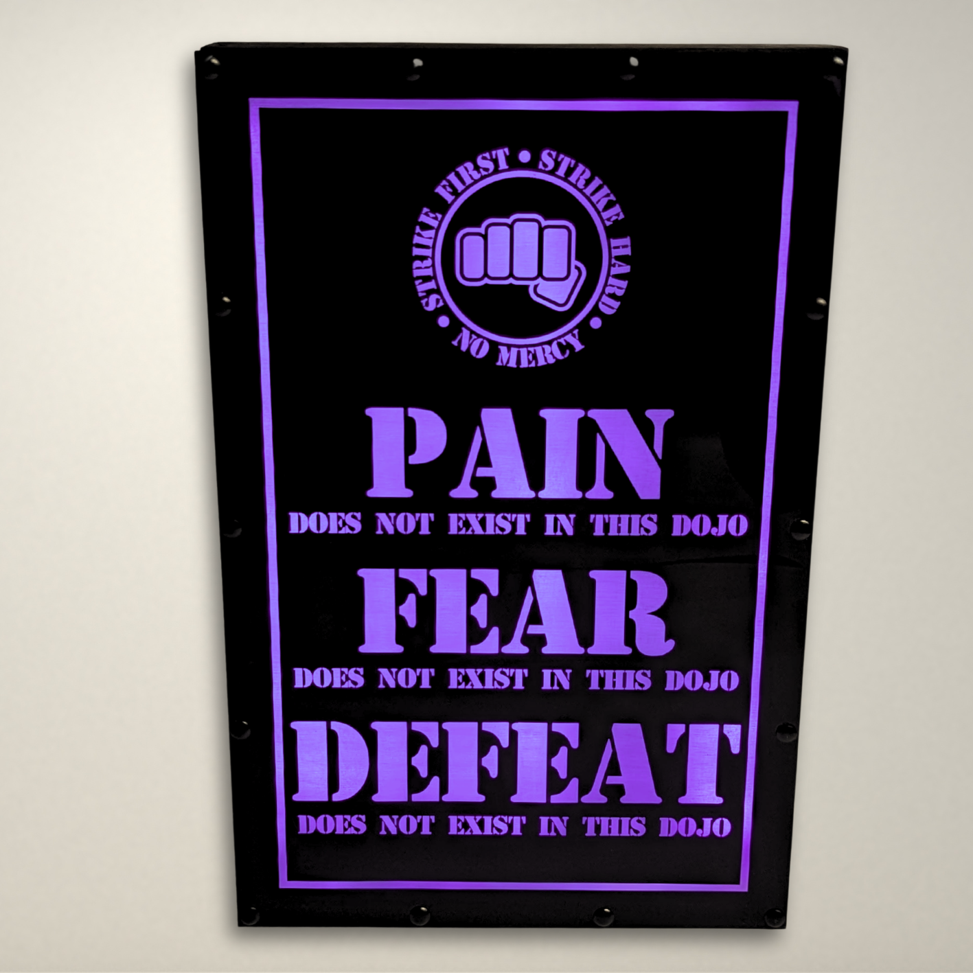 Cobra Kai PAIN FEAR DEFEAT Inspired LED Light Box